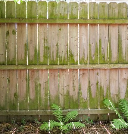 Fence pressure washing in Irvine before