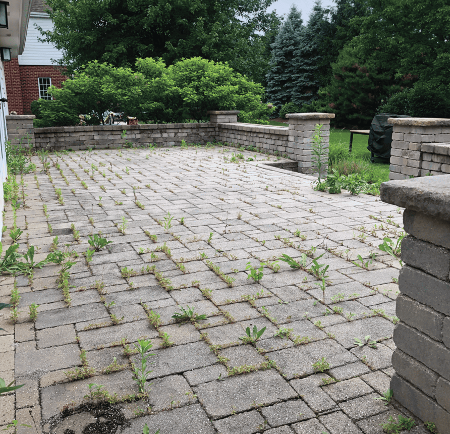 Patio pressure washing in Irvine before